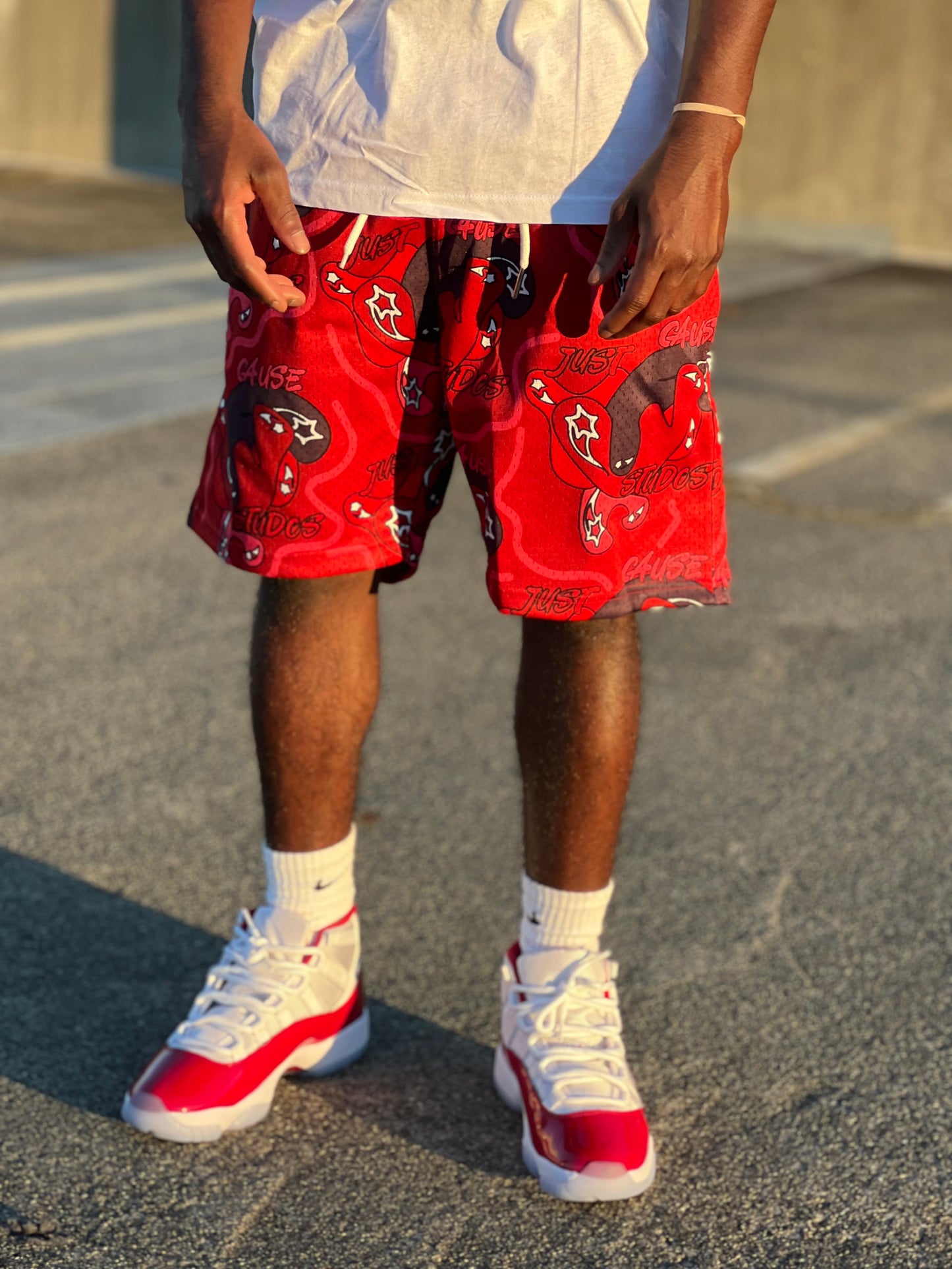 JUST CAUSE STUDIOS SHORTS (Cherry)