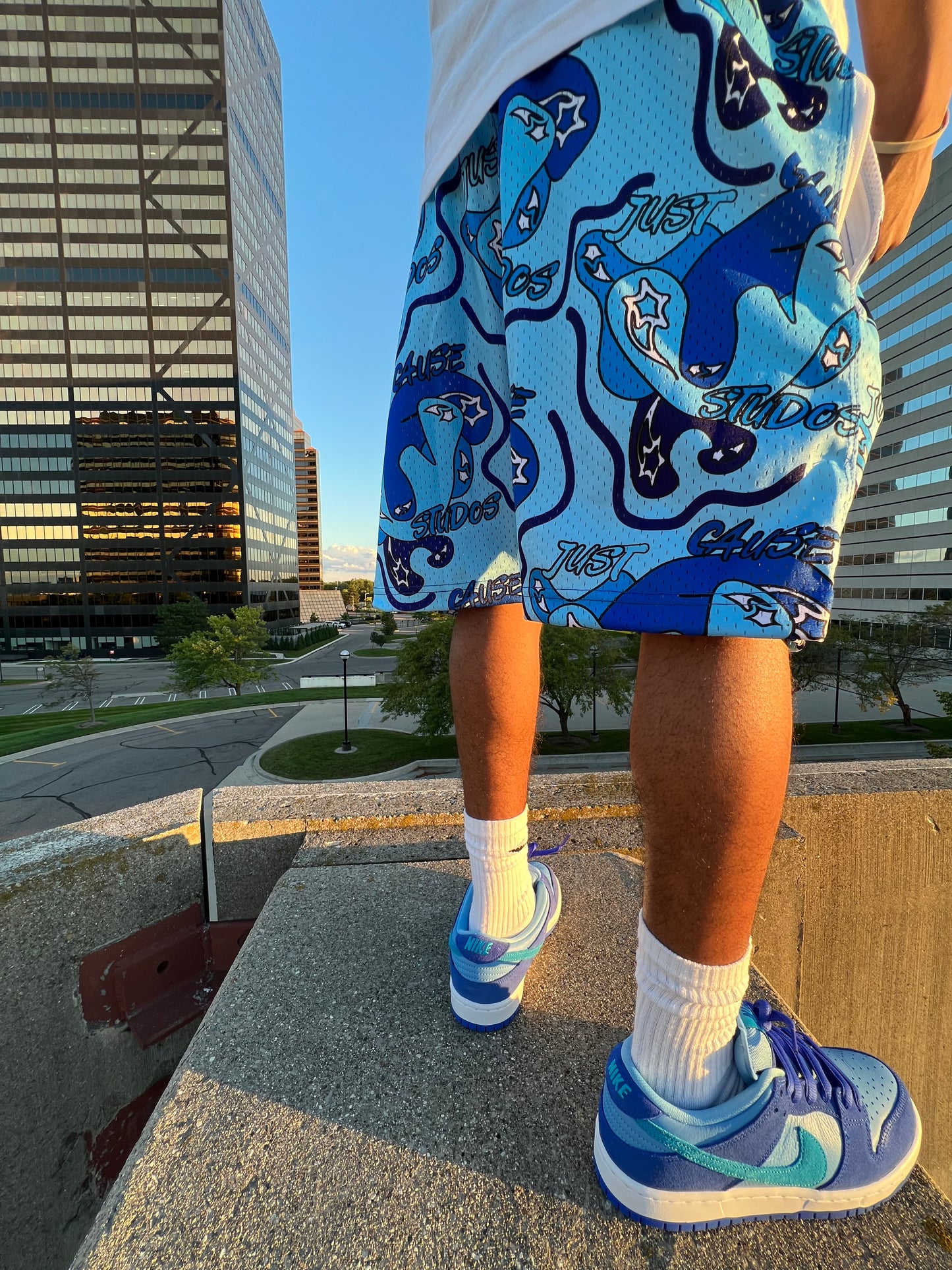 JUST CAUSE STUDIOS SHORTS (Blueberry)